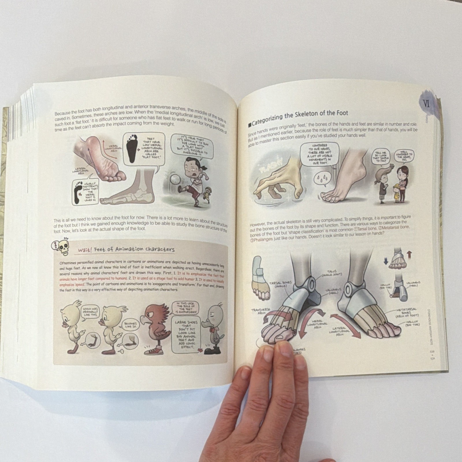 Stonehouse’s Anatomy by Jeonghyun Seok — Anatomy for Artists, English, Superani