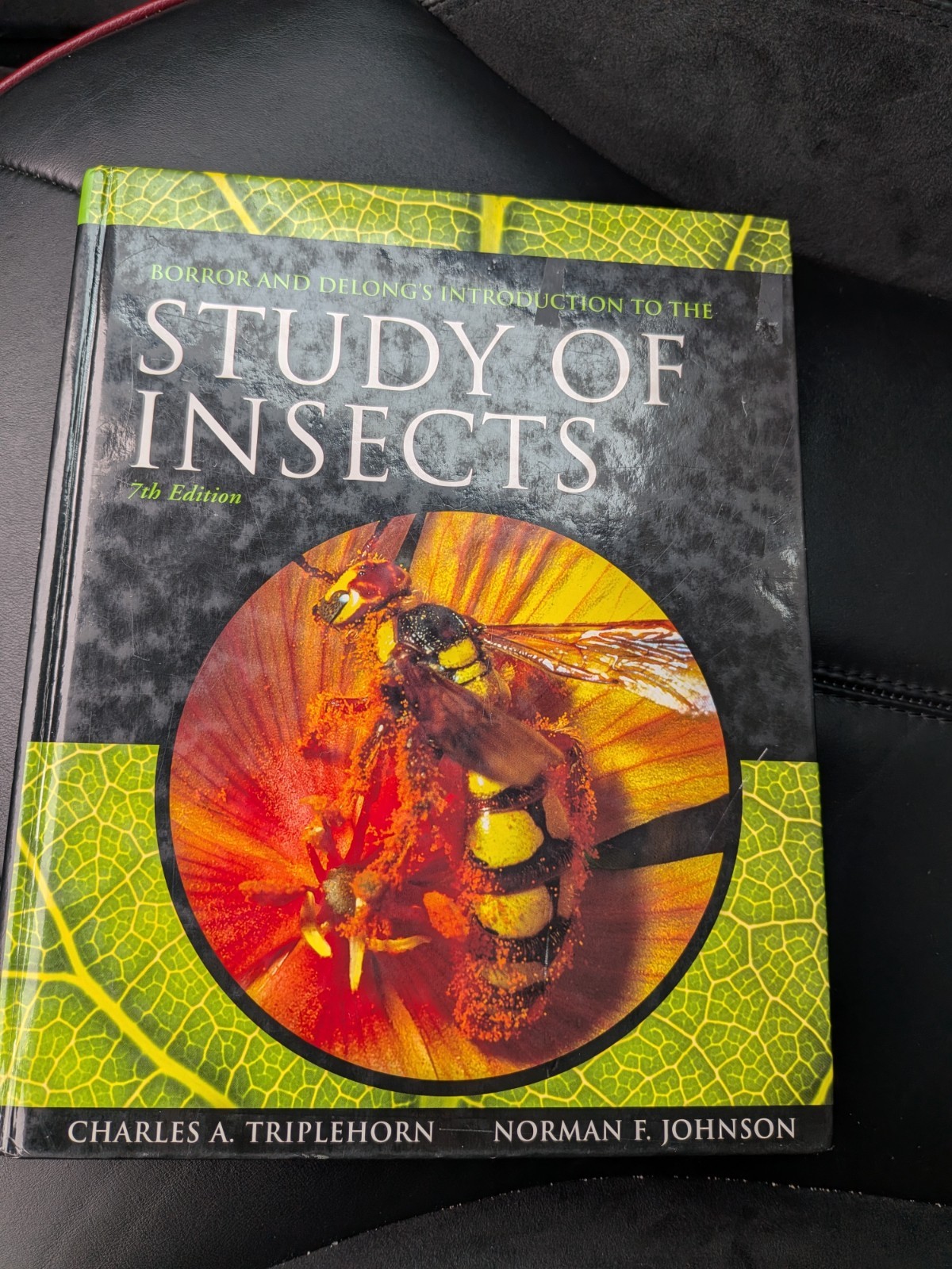 Borror and Delong’s Introduction to the Study of Insects by Norman F. Johnson…