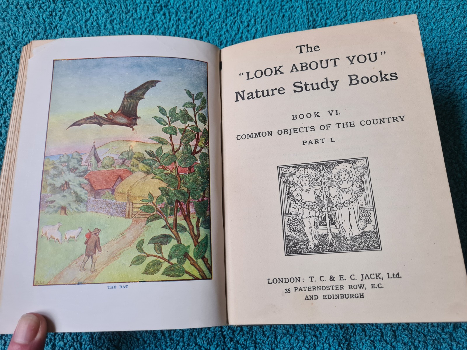 The Look About You Nature Book, Books 1 to 7 in one volume, T.C. & E.C. Jack