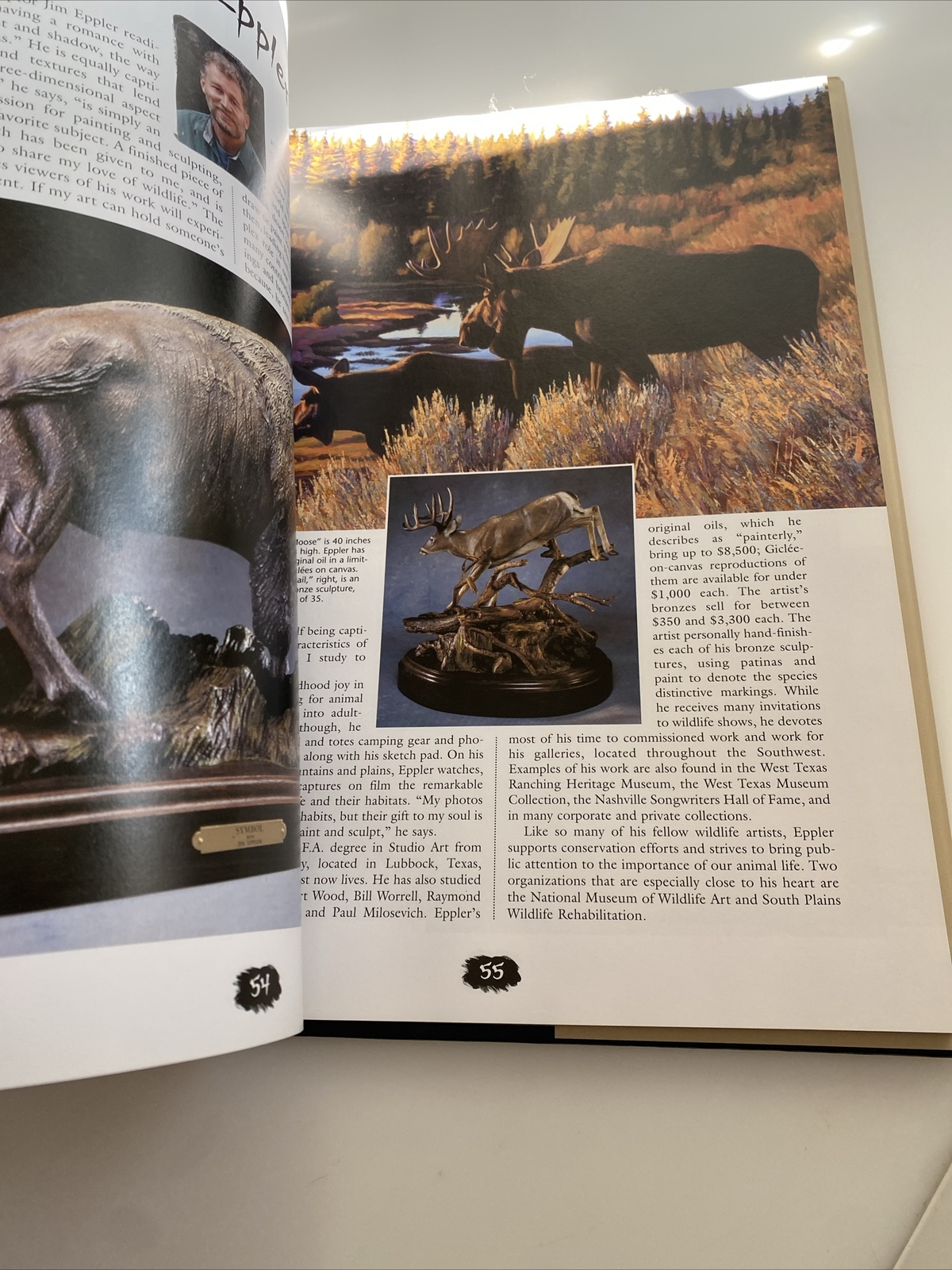 Wildlife Art: 60 Contemporary Masters & Their Work Pursley 2001 HC/DJ 1ST lfb3
