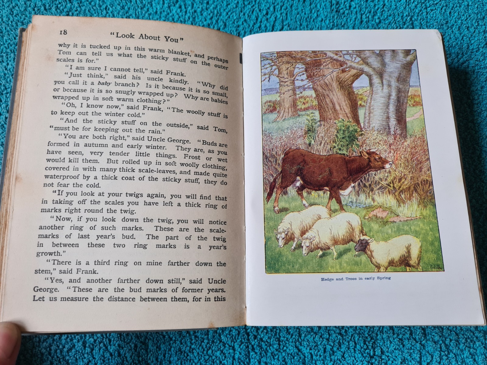 The Look About You Nature Book, Books 1 to 7 in one volume, T.C. & E.C. Jack