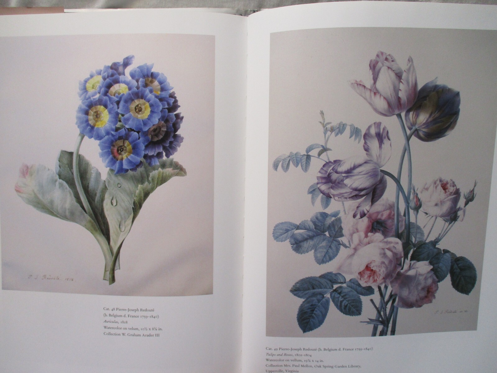 Floral Art of Pierre-Joseph Redoute Marianne Michel 2002
