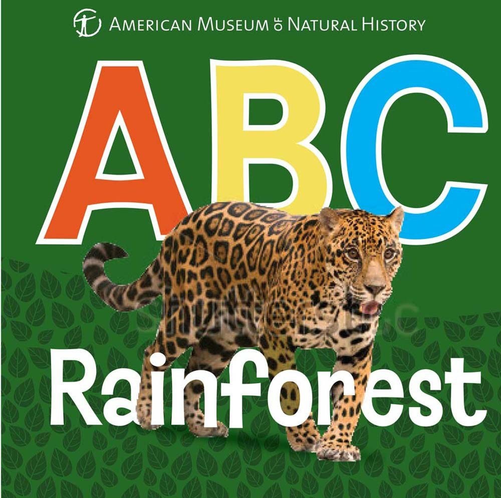 ABC Rainforest (AMNH ABC Board Books)