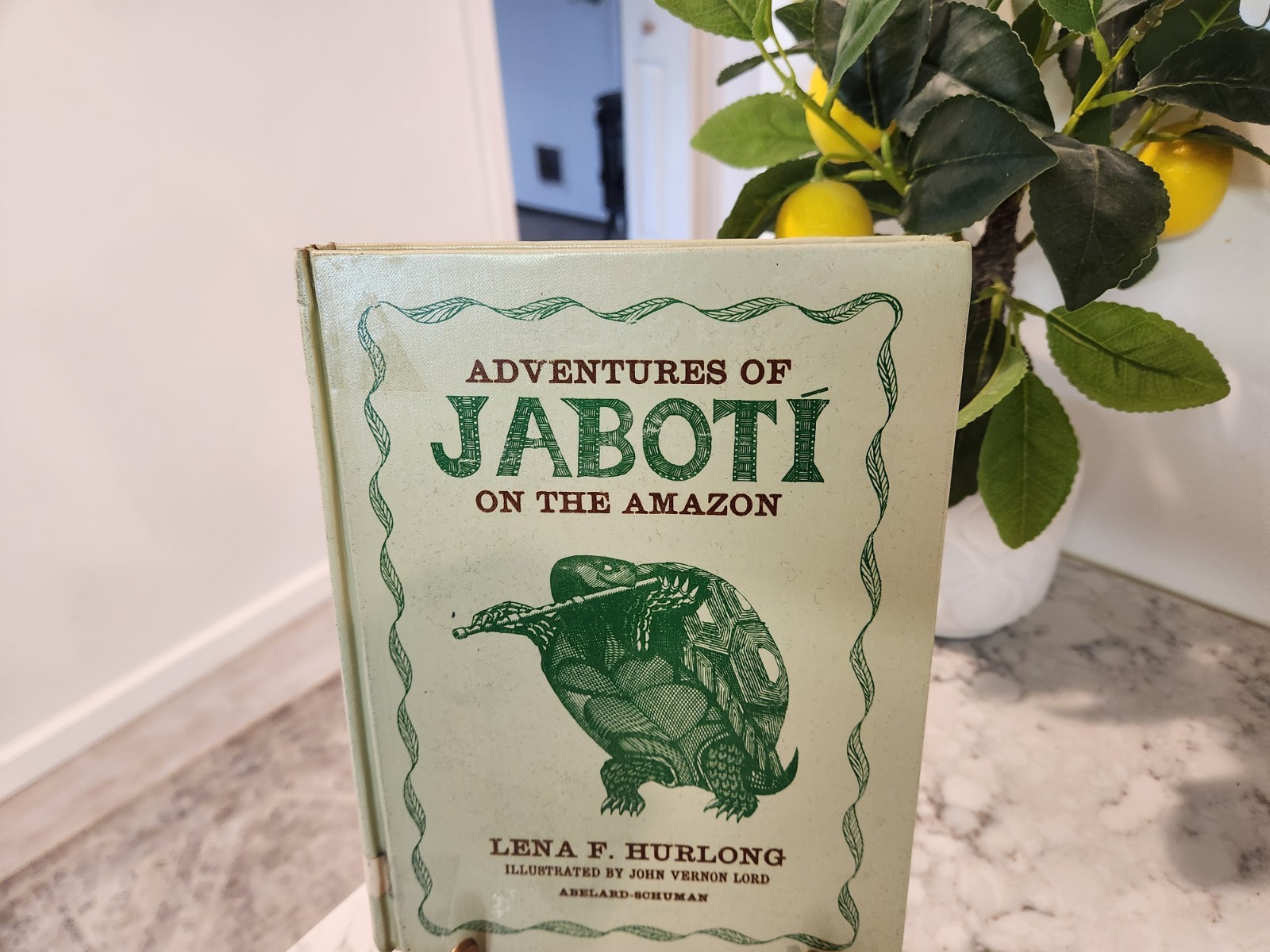 Adventures Of Jaboti On The Amazon By Lena Hurlong HC Rare! Good Illustrations!