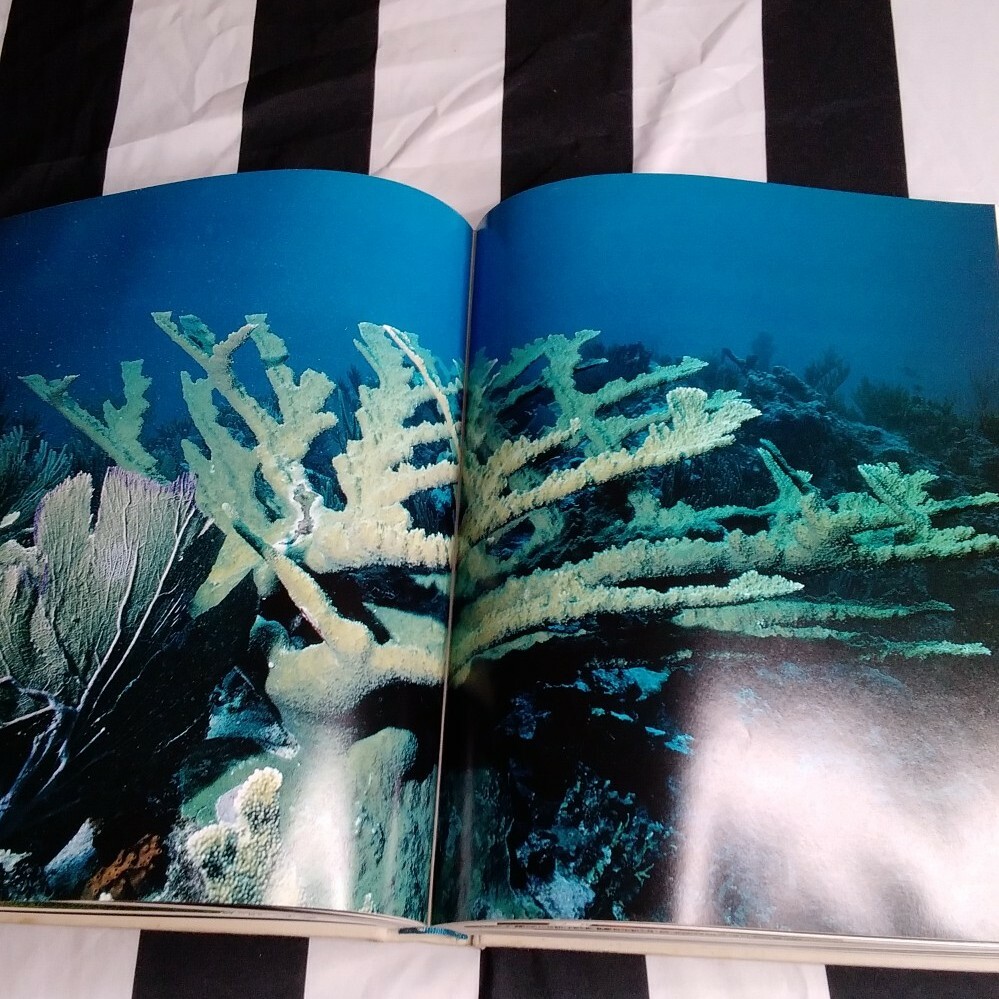 1985 Jacques Cousteau- The Ocean World Hard Cover Book – 12in x 10in
