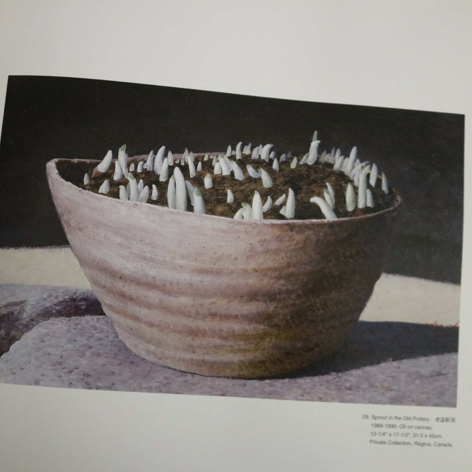 Yan-Zhou Xu’s Art Journey / Signed 1st Edition 1997