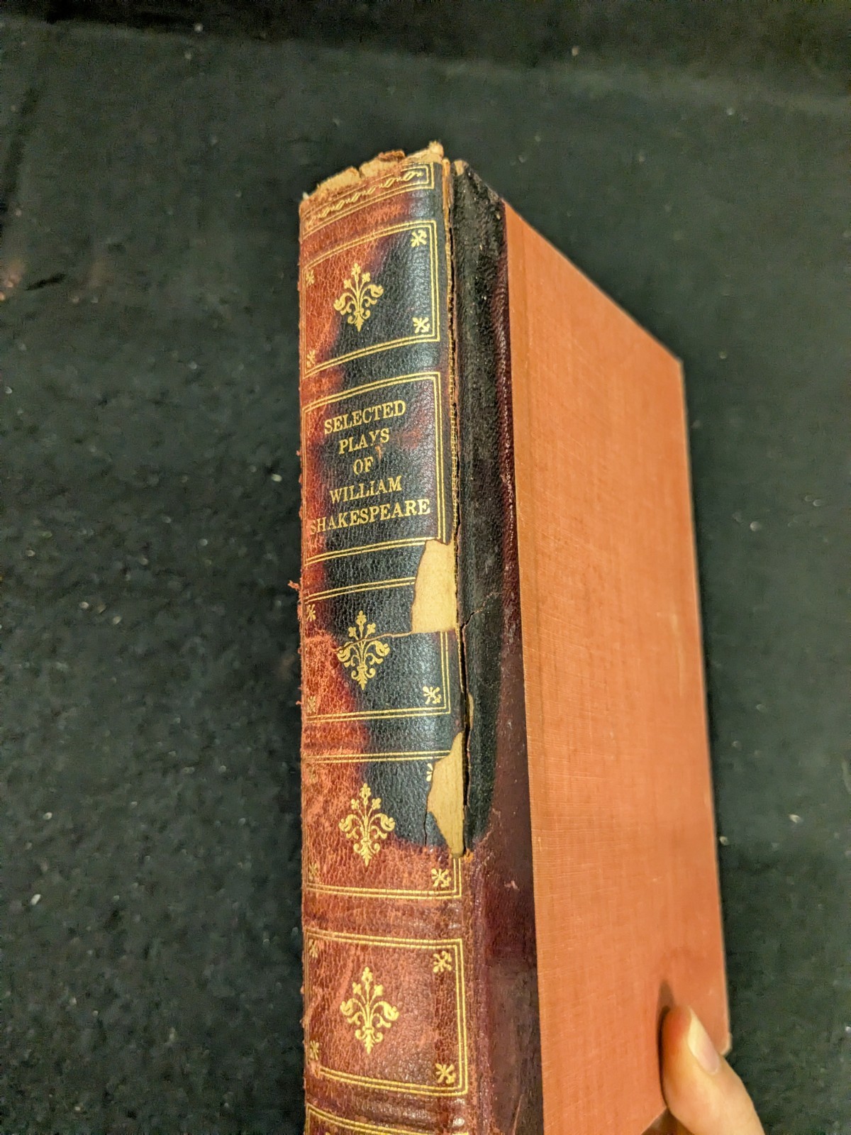 Fine Editions Press Collection Set Of 6 Books Literature Lot
