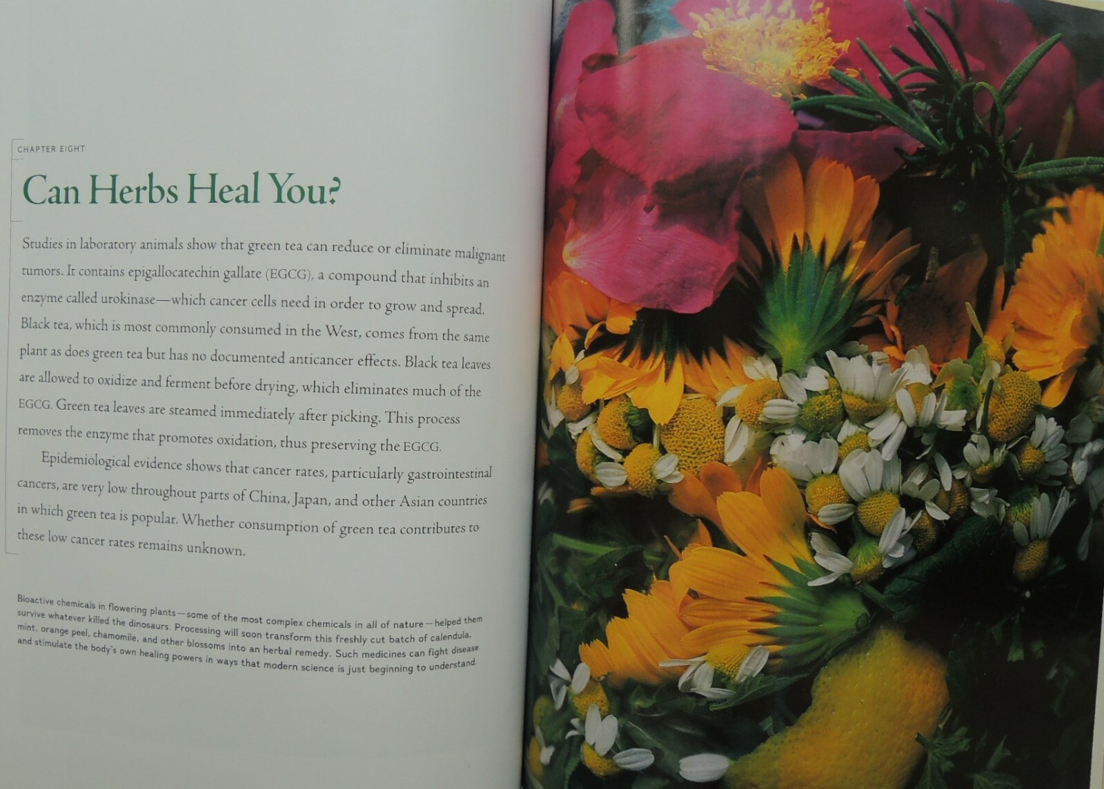 Nature’s Medicine, Plants that Heal, Dr. Swerdlow, 400 pages, HC, free shipping