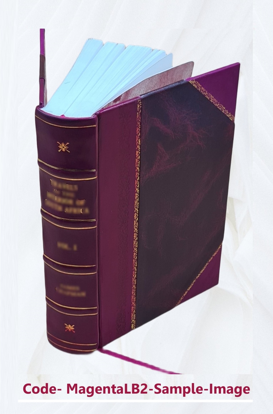 Clinical Therapeutics 1885 By Dujardin-Beaumetz, E. P. Hurd(Tr.) [Leather Bound]
