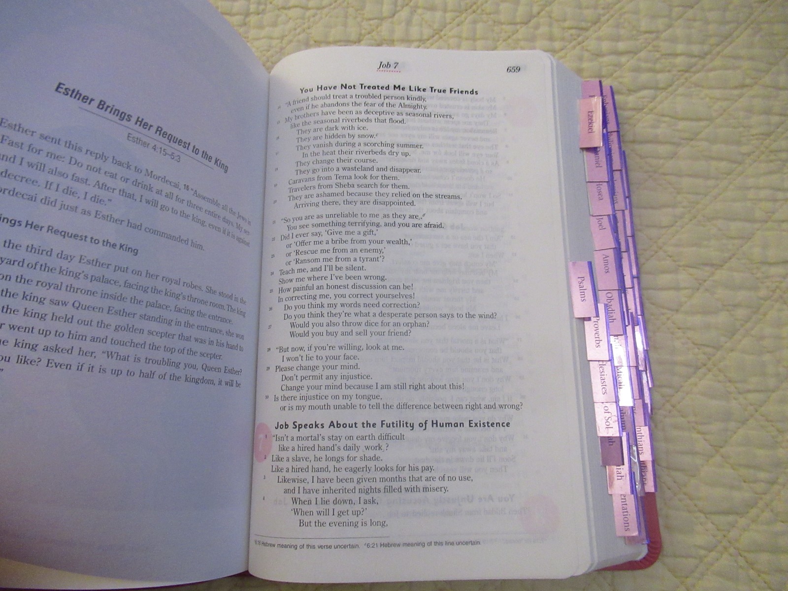 God’s Word for Girls (Pink Faux Leather Bound) (God’s Word Translation)
