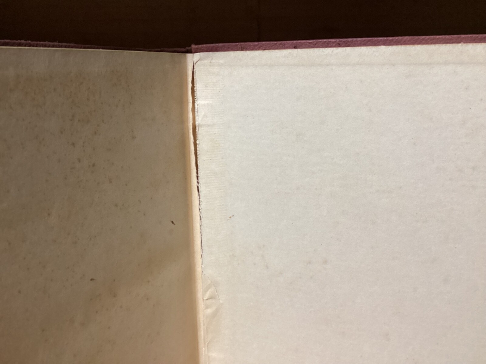 10 RARE Dictionary & Language Books Collection Johannes Rahder Linguistics