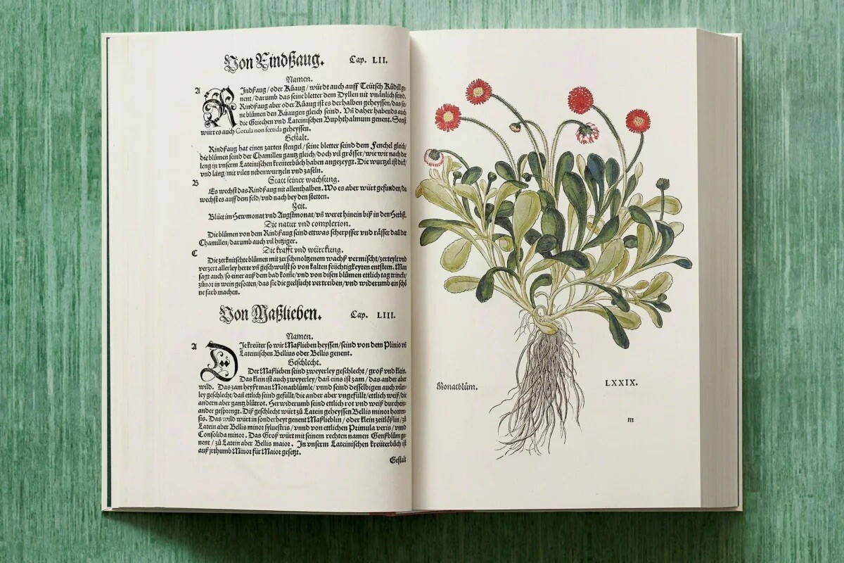 Leonhart Fuchs. The New Herbal by Werner Dressendörfer – Renaissance Botany NEW