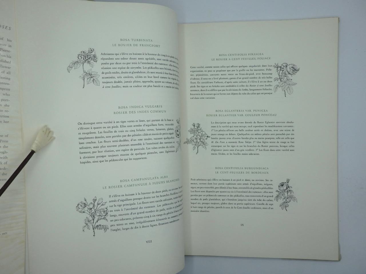 1959 1st Ed. – THE BEST OF REDOUTE’S ROSES Colour Flower Illustrated Ariel Press