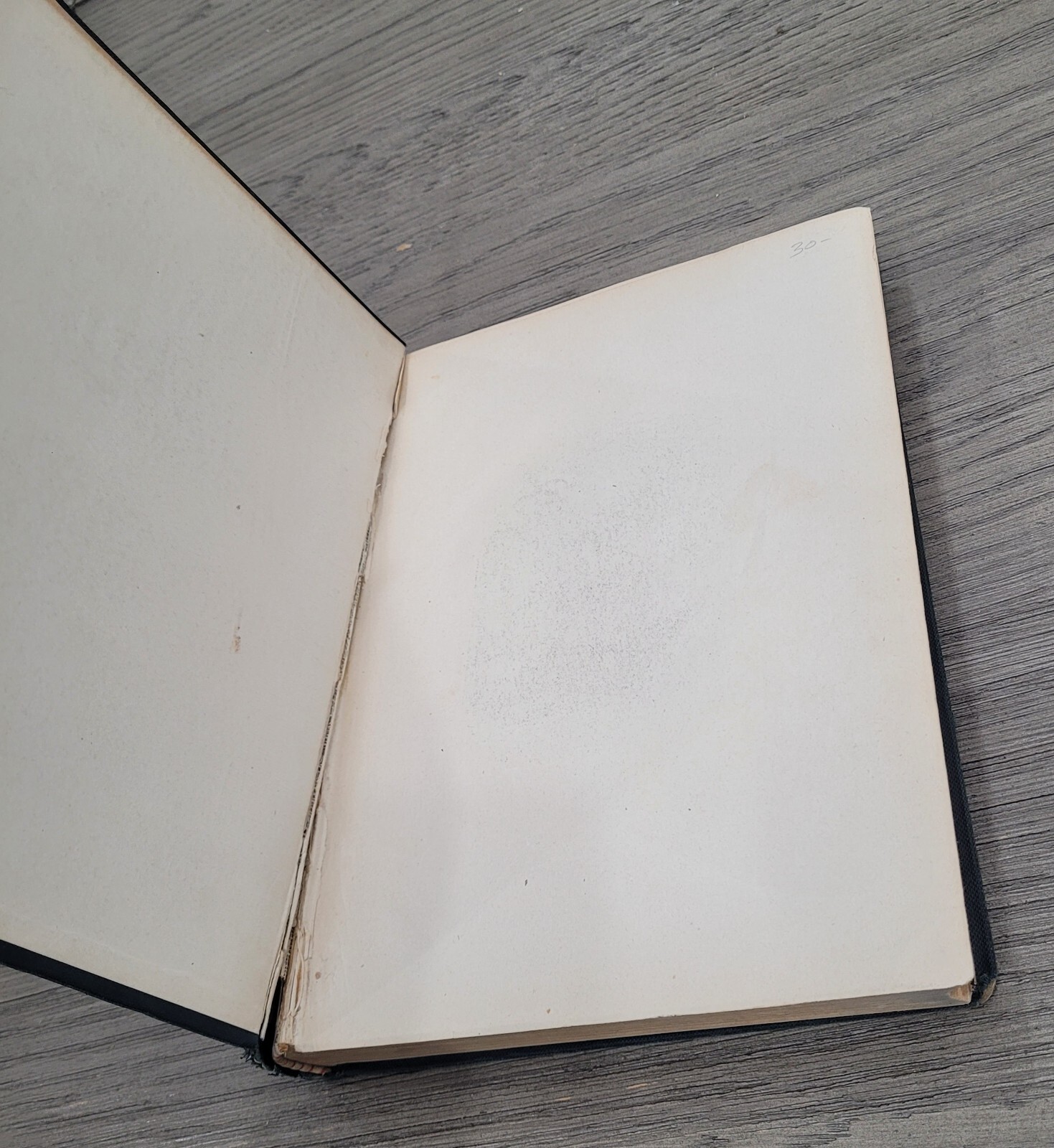 Arbor Day Manual – Large 1896 Program Aid Book by Charles Skinner 475 Pages