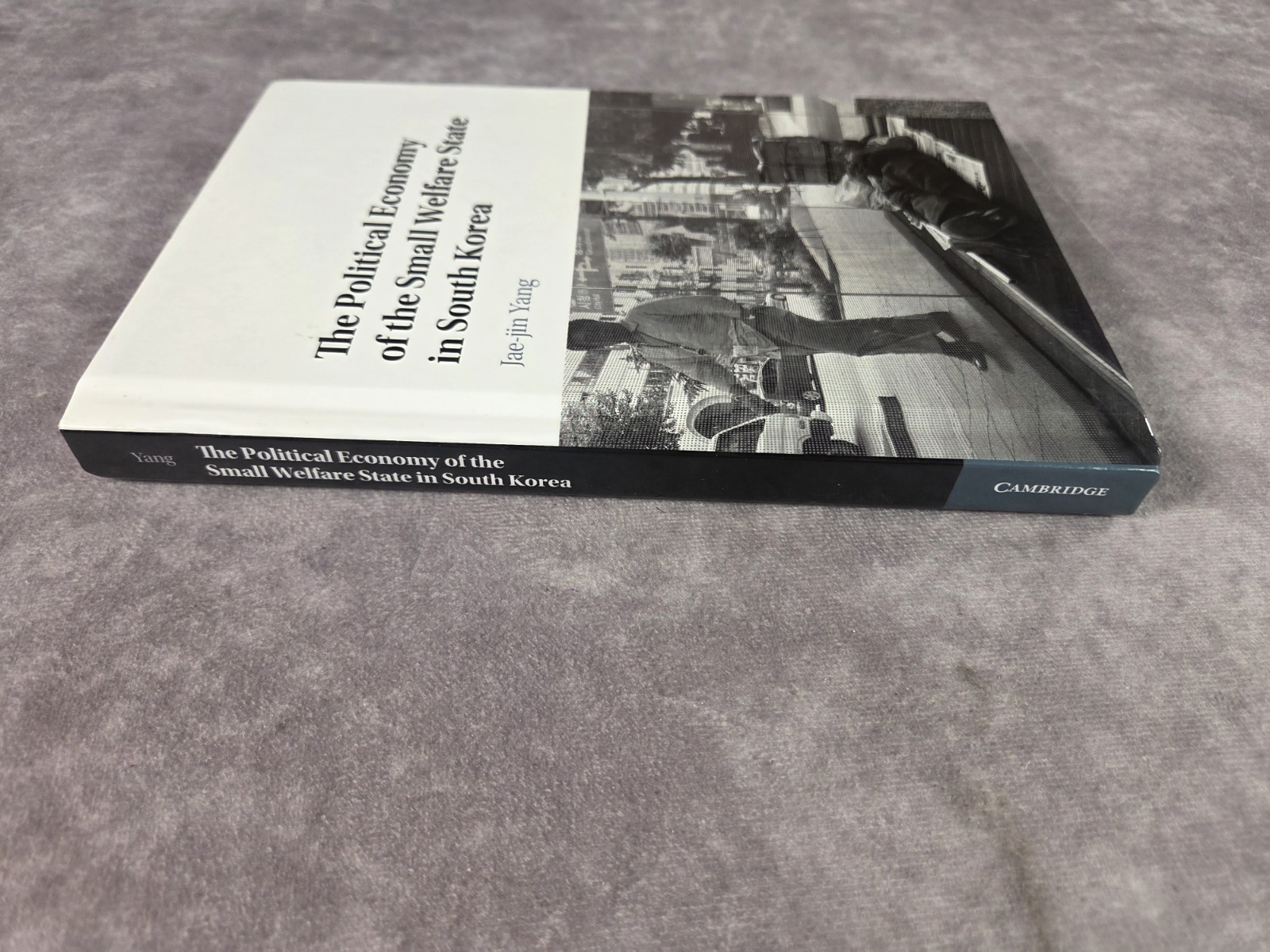(New) The Political Economy of the Small Welfare State in South Korea HC