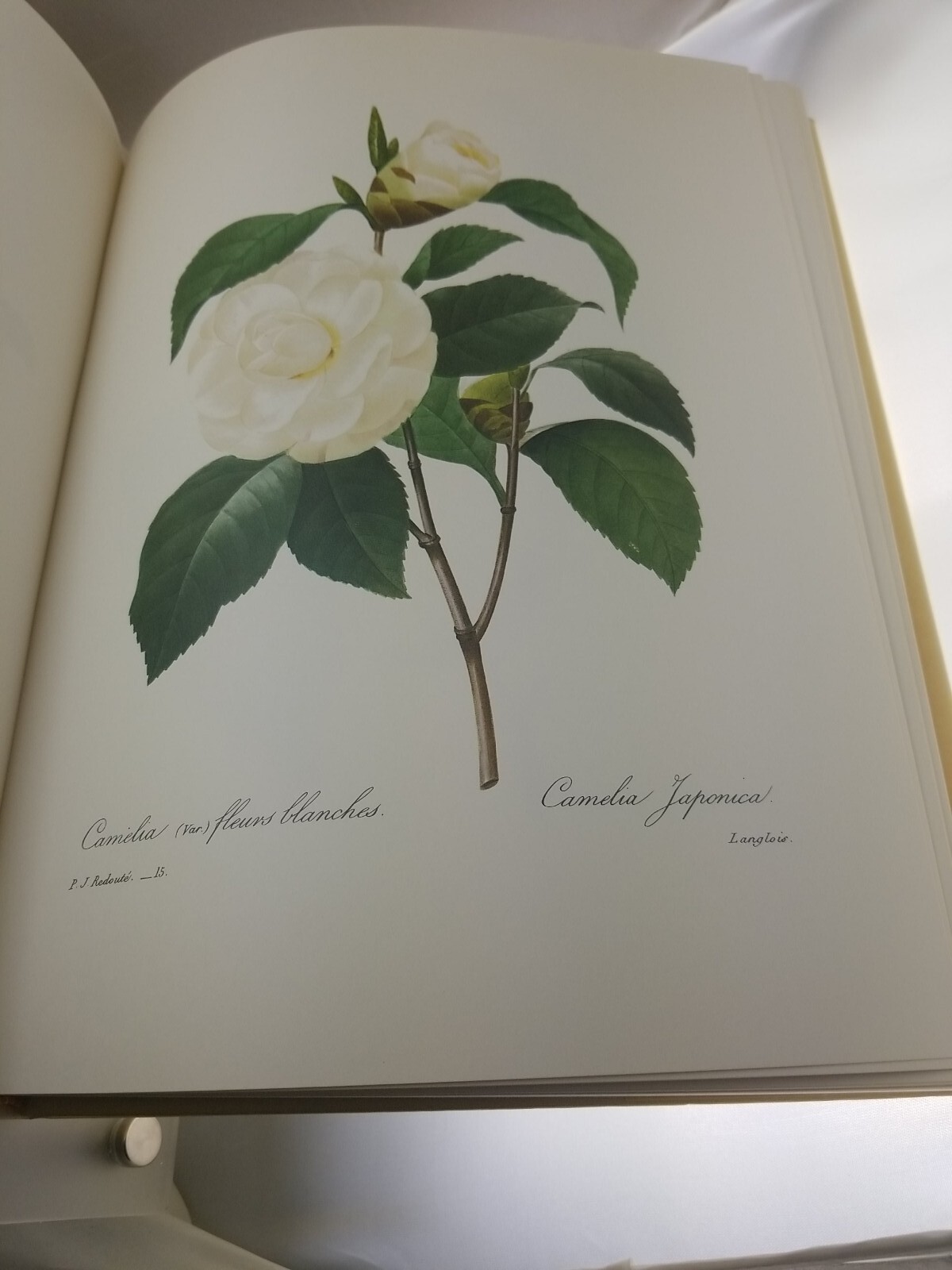 The Most Beautiful Flowers Pierre Joseph Redoute 1981 Hardcover Book Gardening