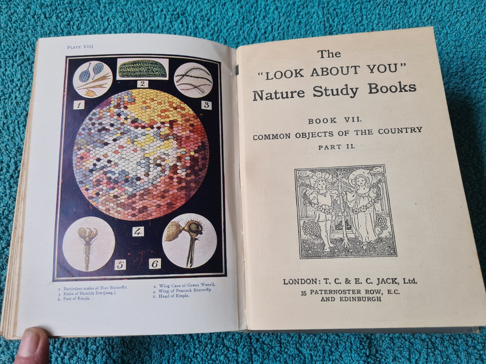 The Look About You Nature Book, Books 1 to 7 in one volume, T.C. & E.C. Jack