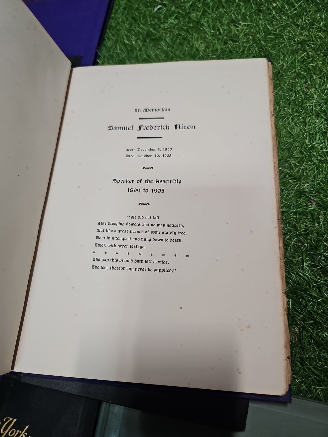 8 Original State of New York In Memoriam Book Lot Roosevelt Ellsworth More