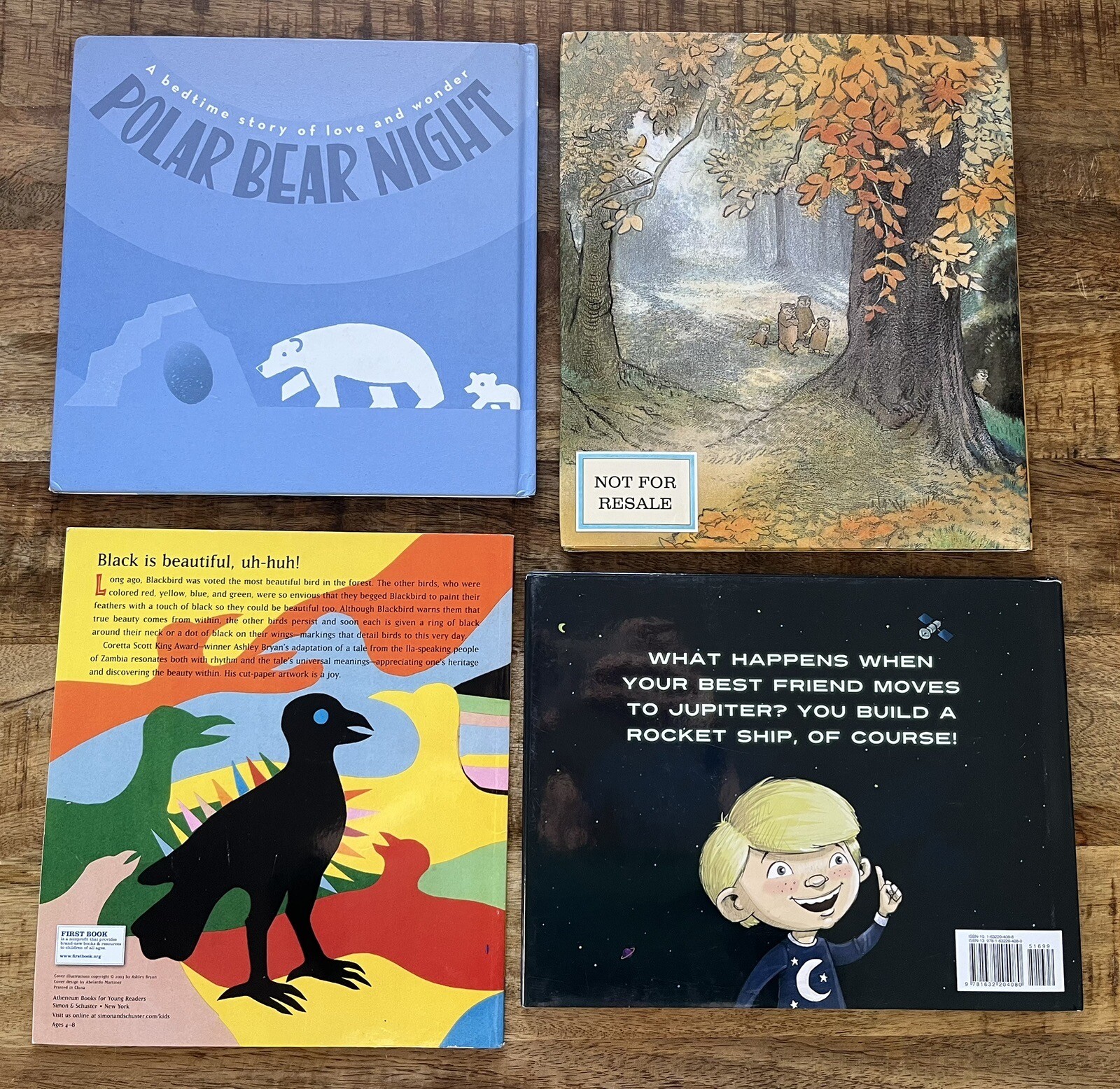 Lot of 4 Children’s Books for Kids A House In The Woods Faraway Friends Ages 4-8