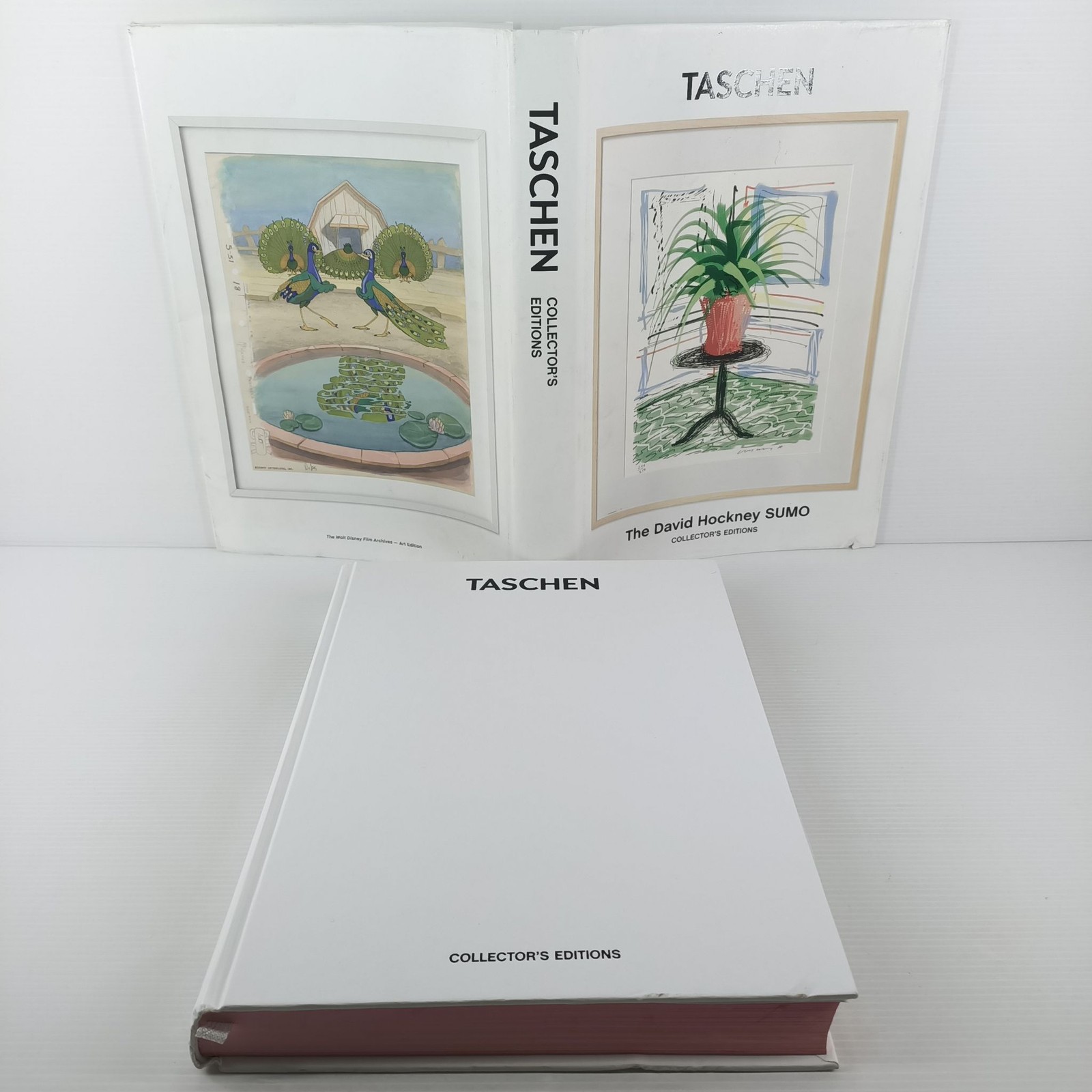 TASCHEN The David Hockney SUMO Collector’s Editions Art Book 2016-17