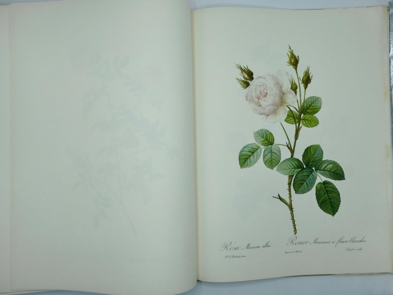 1959 1st Ed. – THE BEST OF REDOUTE’S ROSES Colour Flower Illustrated Ariel Press