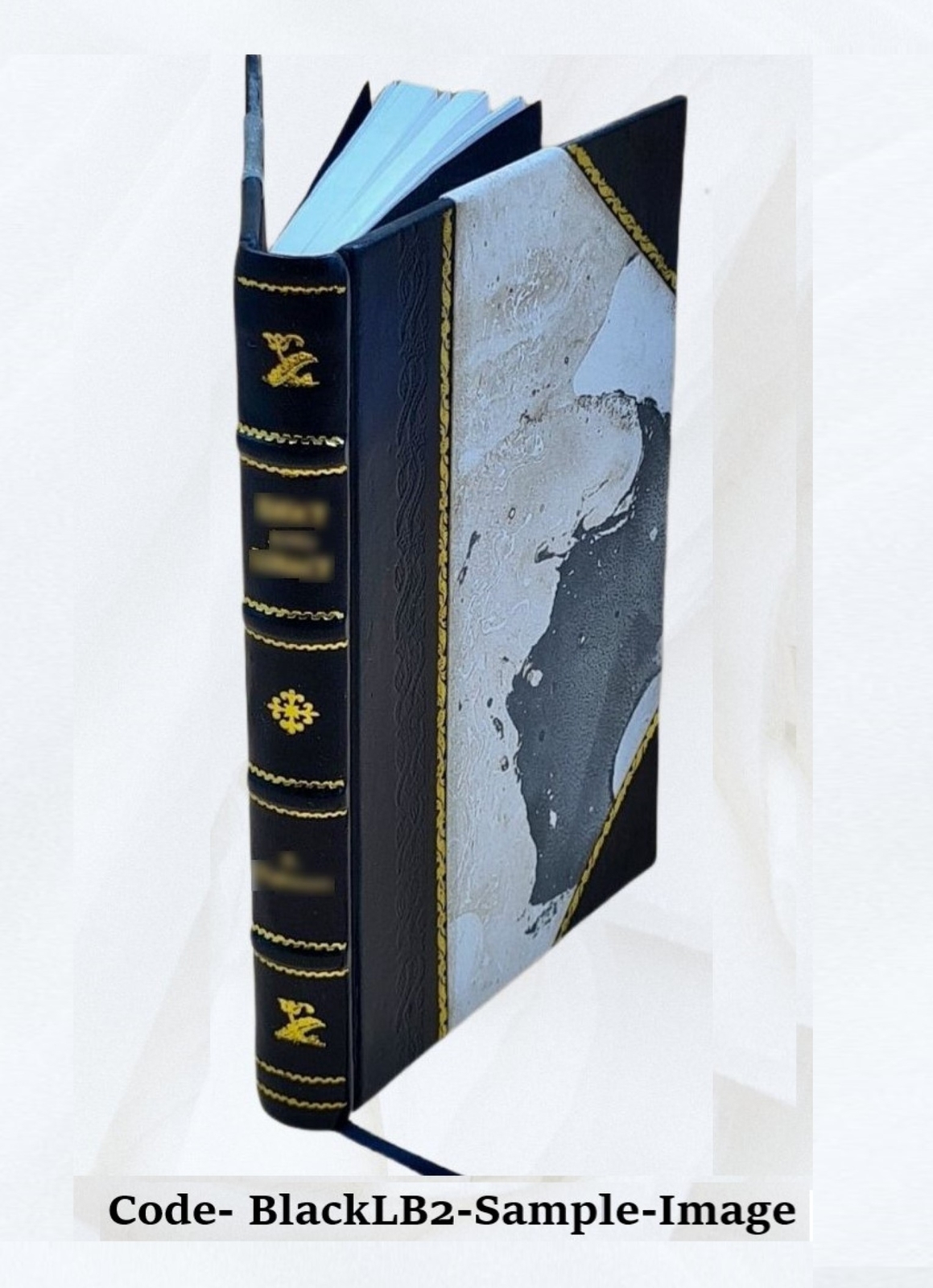 Clinical Therapeutics 1885 By Dujardin-Beaumetz, E. P. Hurd(Tr.) [Leather Bound]