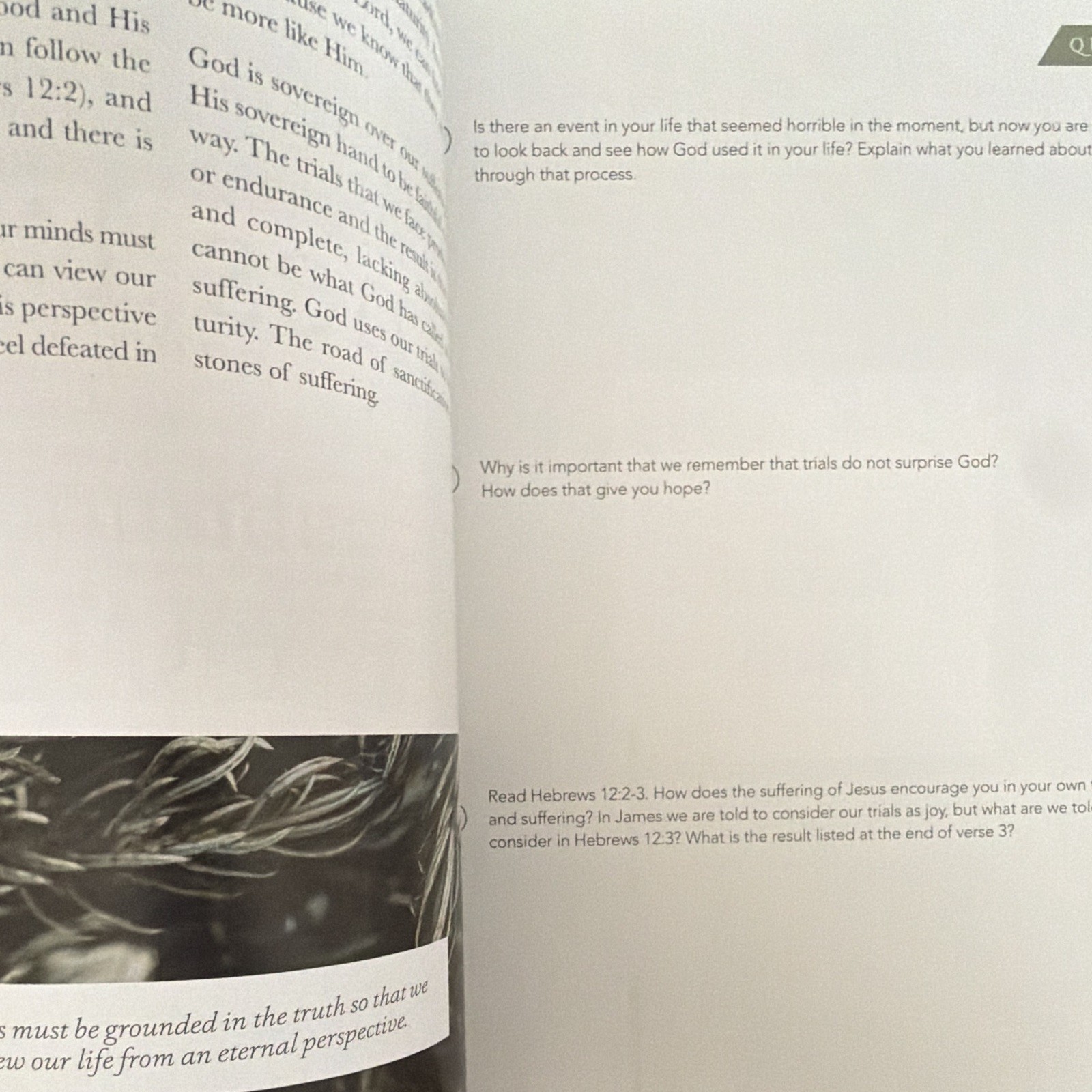 The Daily Grace Co. James: The Steadfast Life Schmucker PB 2017 Study Guide