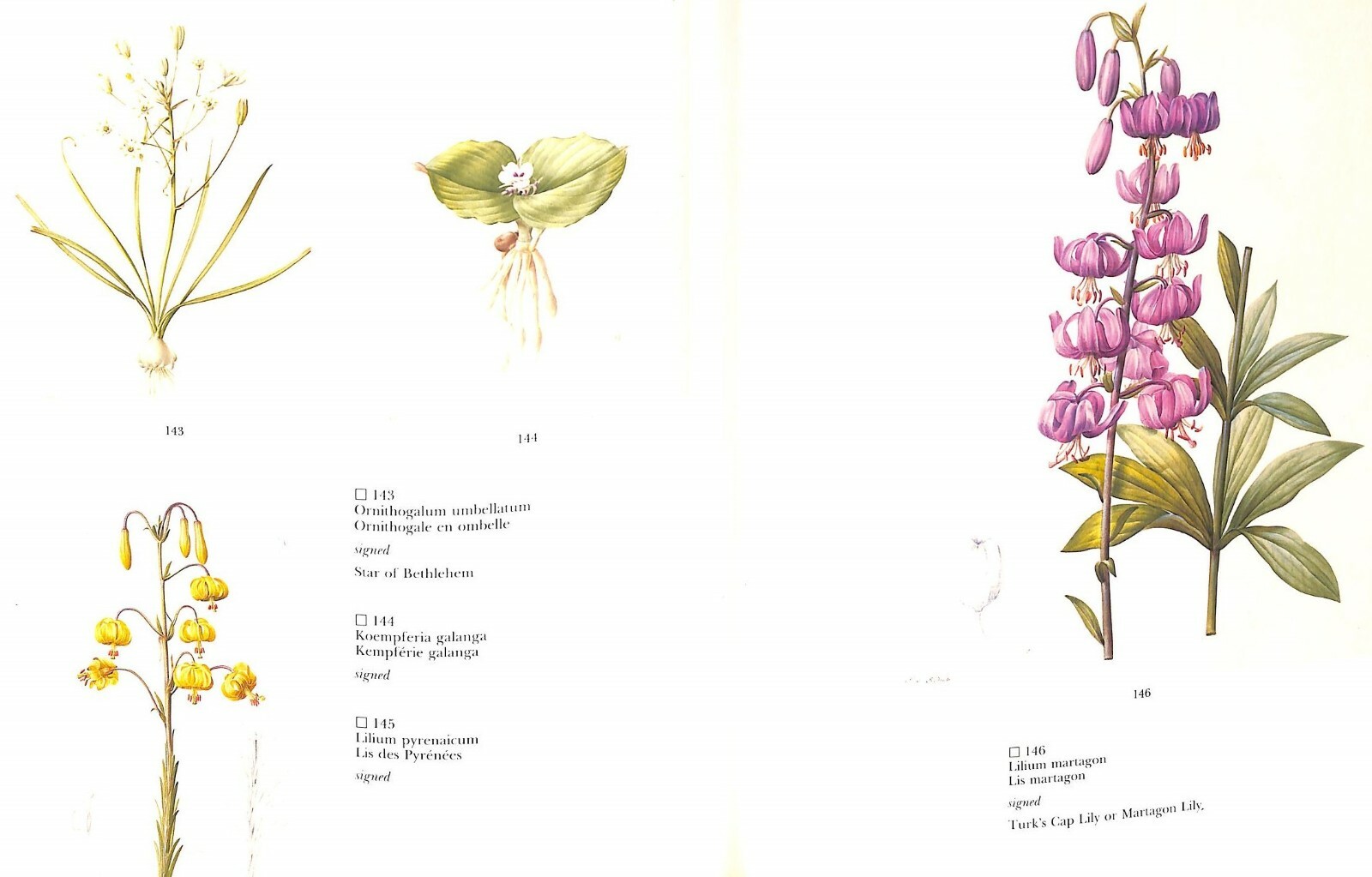 Pierre-Joseph Redoute’s Liliacees 1985 Sotheby’s New York