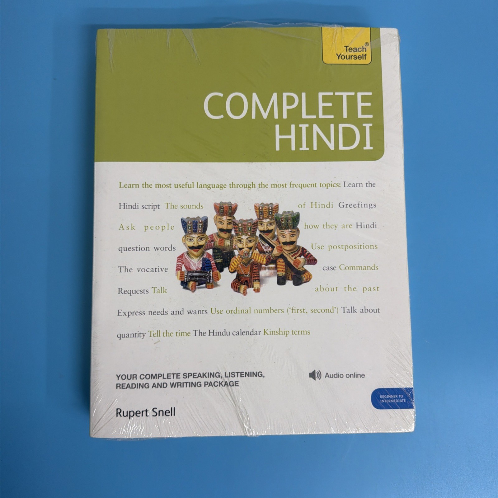 Complete Hindi: Your Complete Speaking, Listening, Reading and Writing (Teach Y
