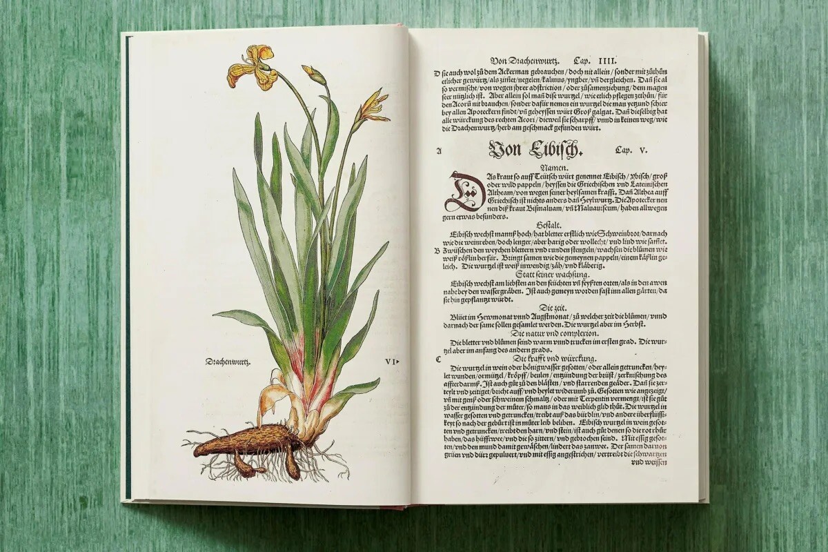 Leonhart Fuchs. The New Herbal by Werner Dressendörfer – Renaissance Botany NEW