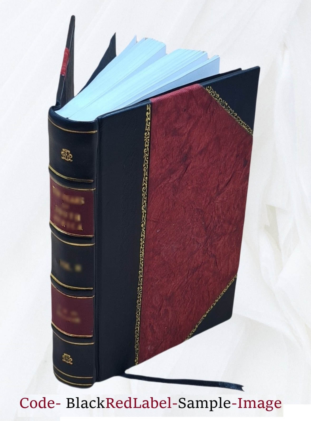 Clinical Therapeutics 1885 By Dujardin-Beaumetz, E. P. Hurd(Tr.) [Leather Bound]