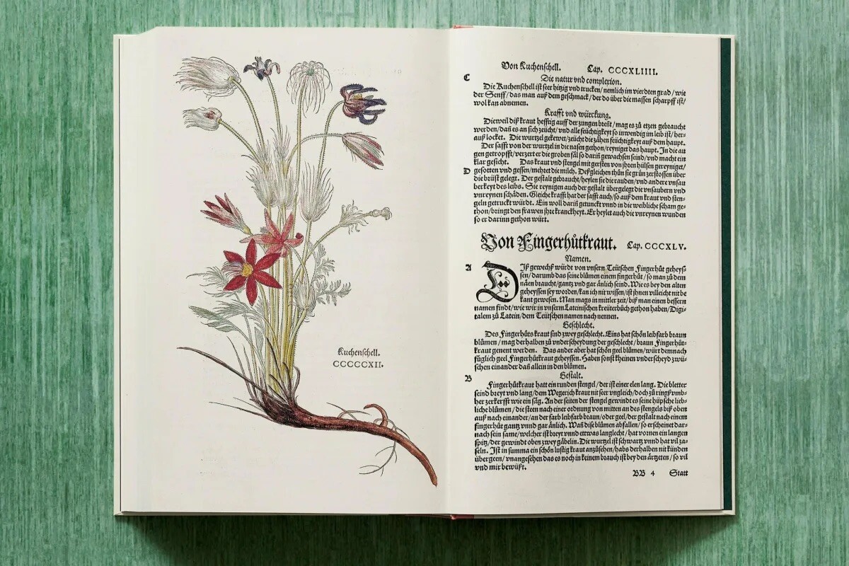 Leonhart Fuchs. The New Herbal by Werner Dressendörfer – Renaissance Botany NEW
