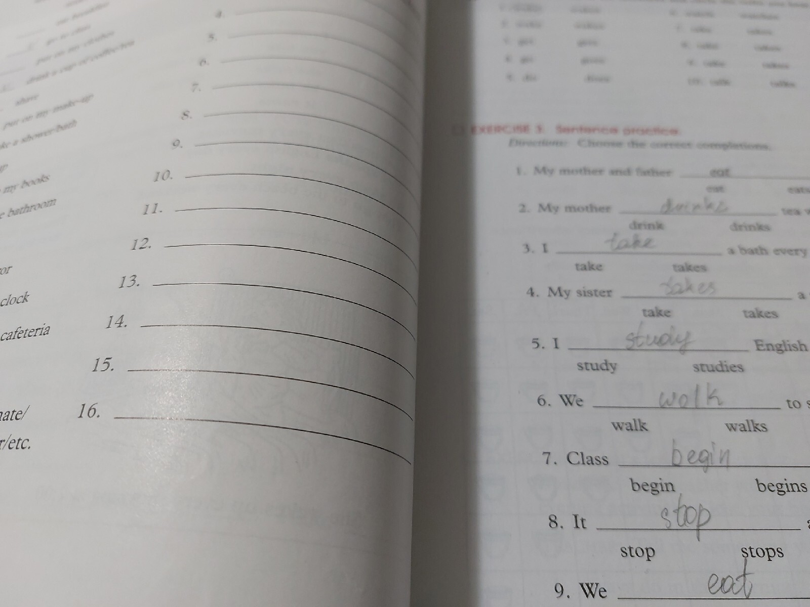 Basic English Grammar by Stacy A. Hagen and Betty Schrampfer Azar 2005