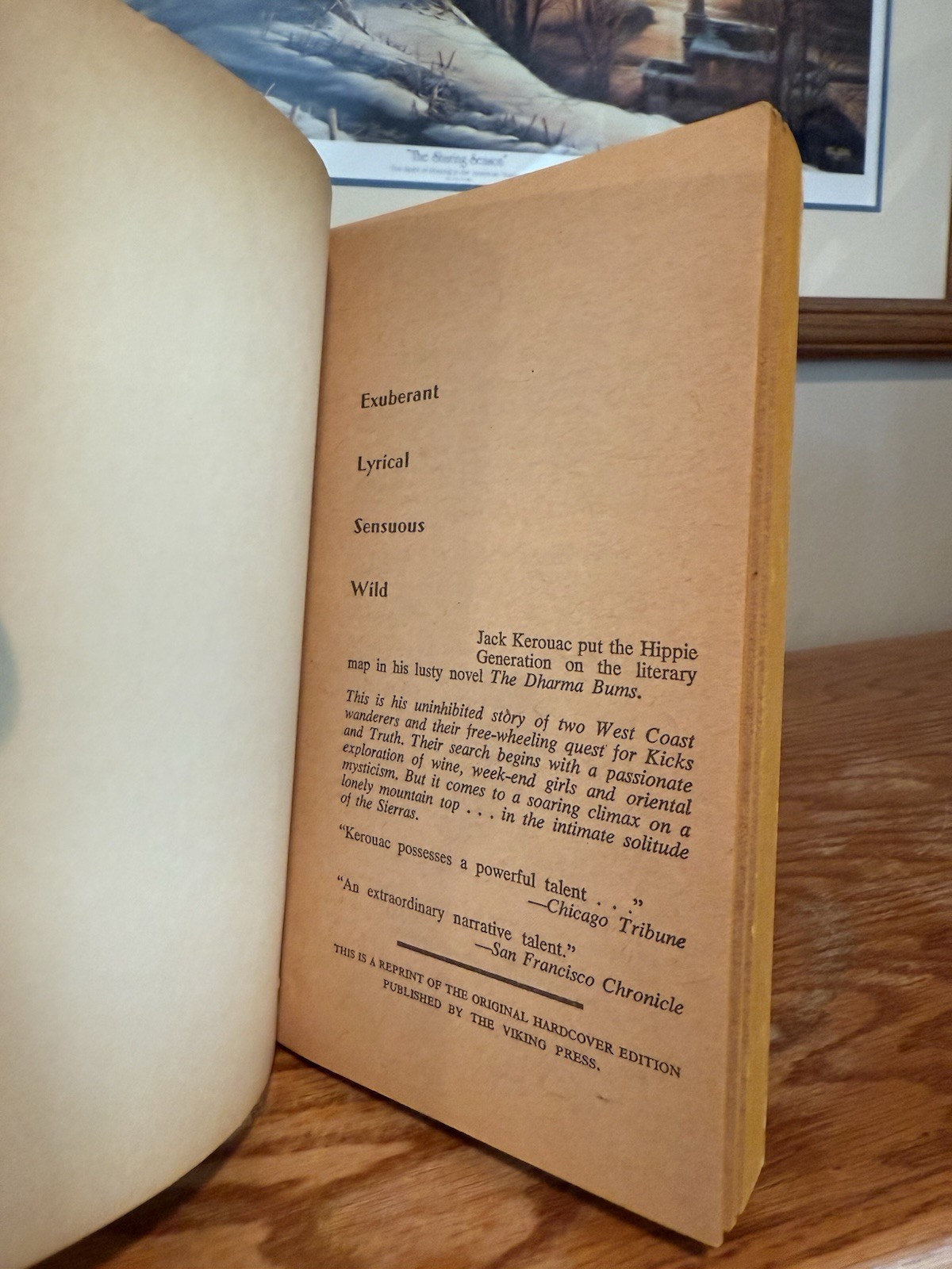 The Dharma Bums By Jack Kerouac (SIGNET, 1959) Vtg Paperback Book PB