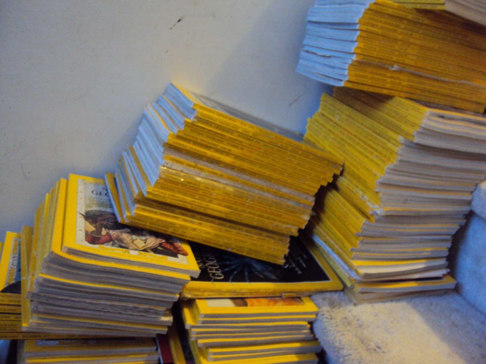 Lot 20 National Geographic Random Pick 2010’s – 2020’s RECENT YEARS No duplicate