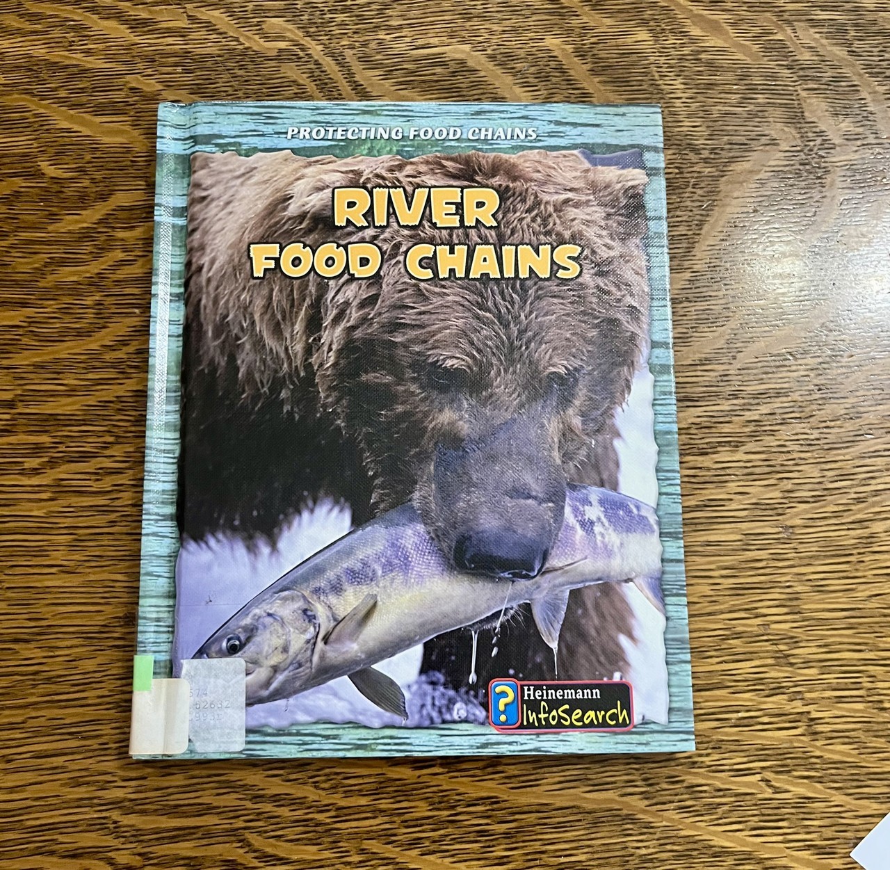 River Food Chains (Heinemann InfoSearch: Protecting Food Chains) HB