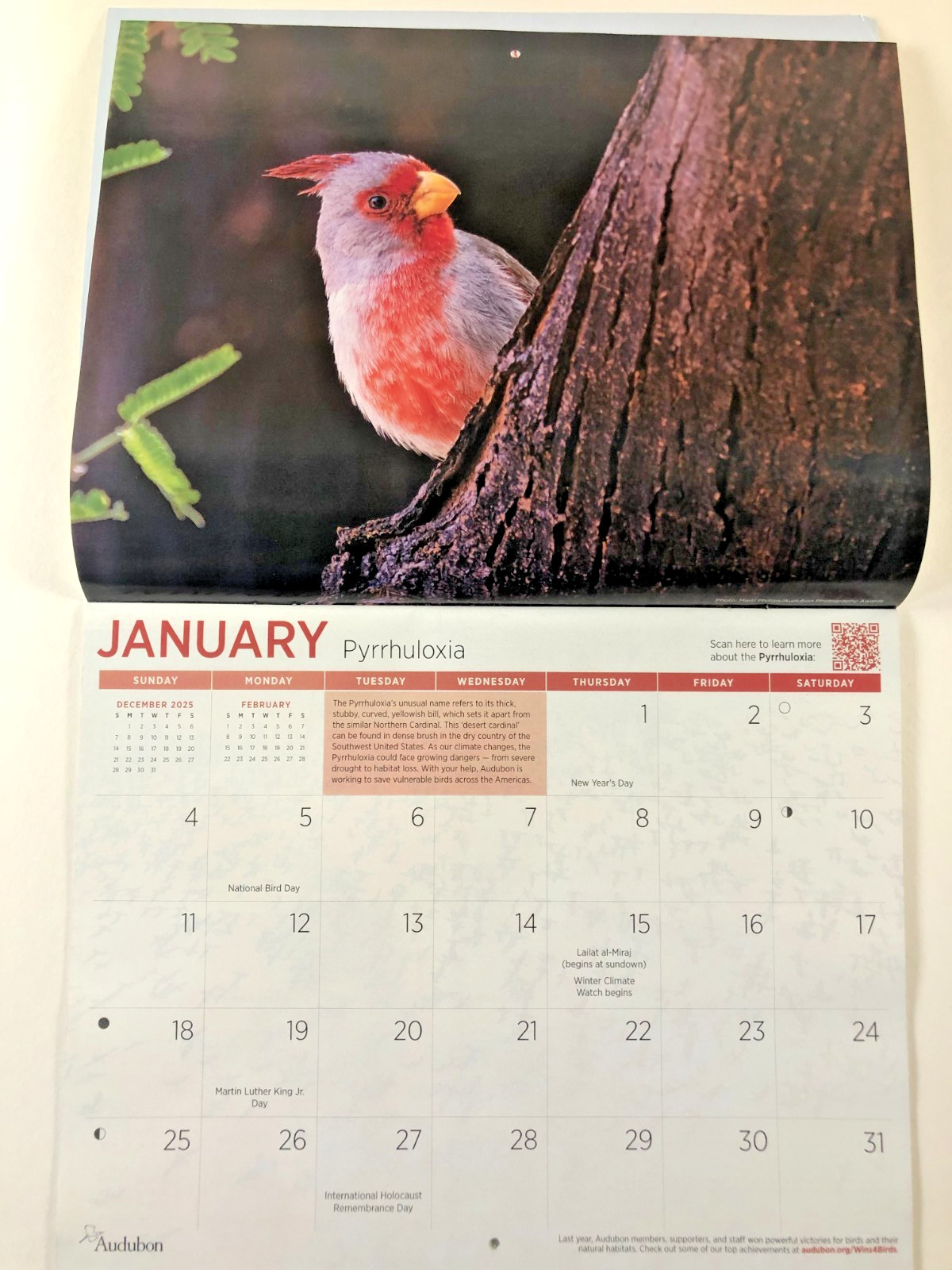 Audubon Magazine Spring 2025 Brown Pelicans Coral Reefs Cranes + 2026 Calendar