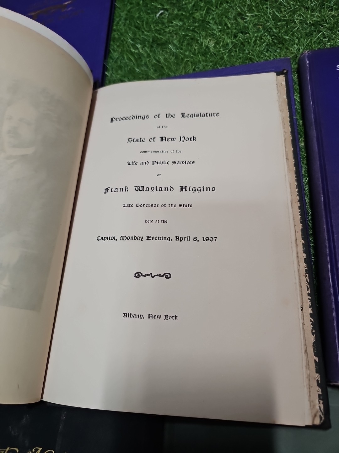 8 Original State of New York In Memoriam Book Lot Roosevelt Ellsworth More