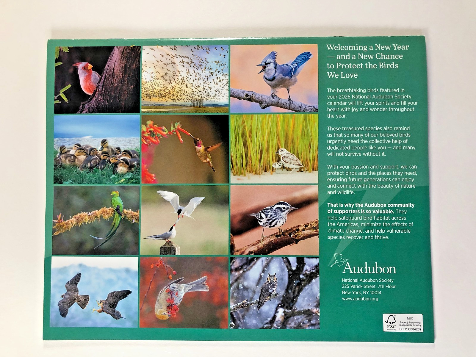 Audubon Magazine Spring 2025 Brown Pelicans Coral Reefs Cranes + 2026 Calendar