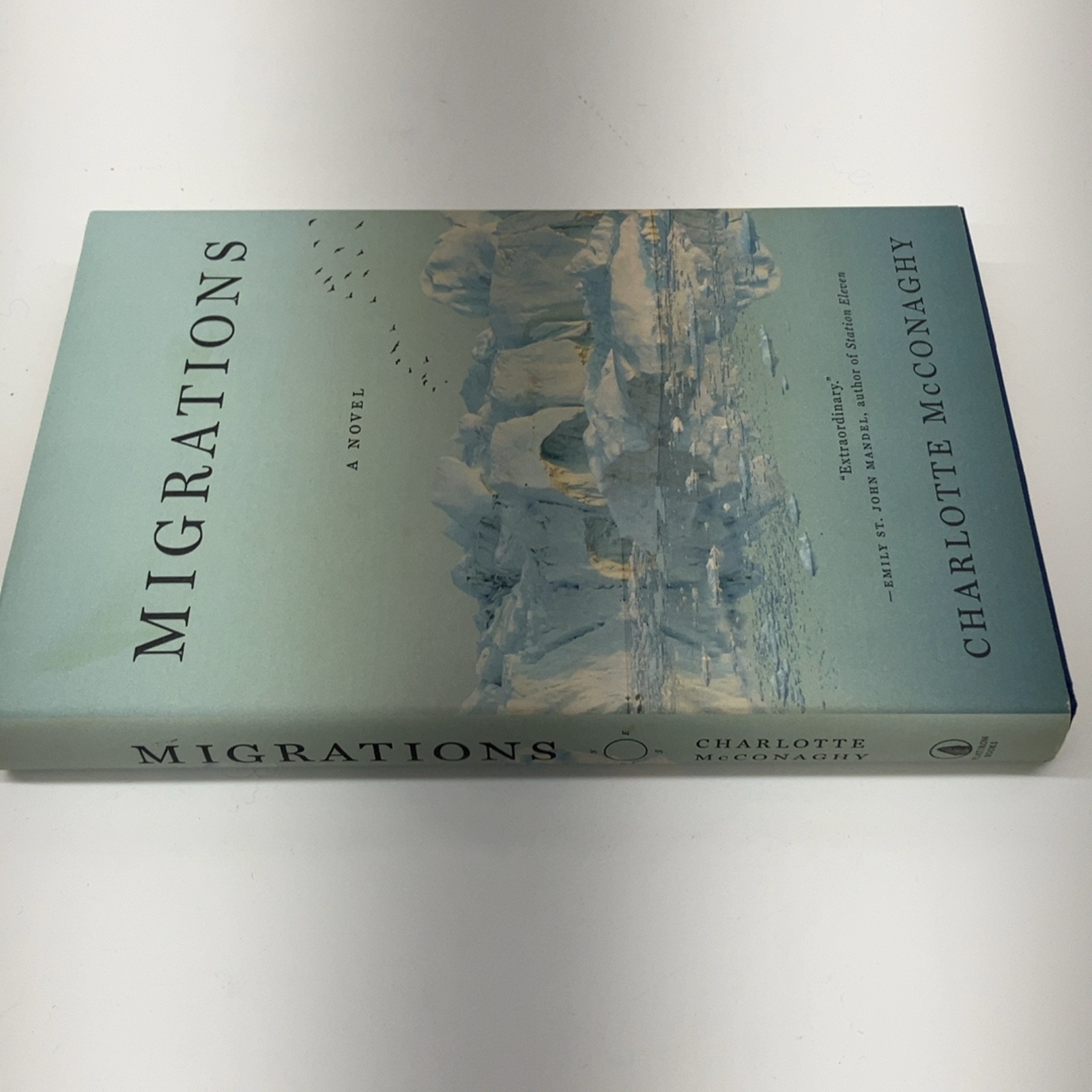 Migrations: A Novel by Charlotte McConaghy (Hardcover, 2020) Flatiron Books