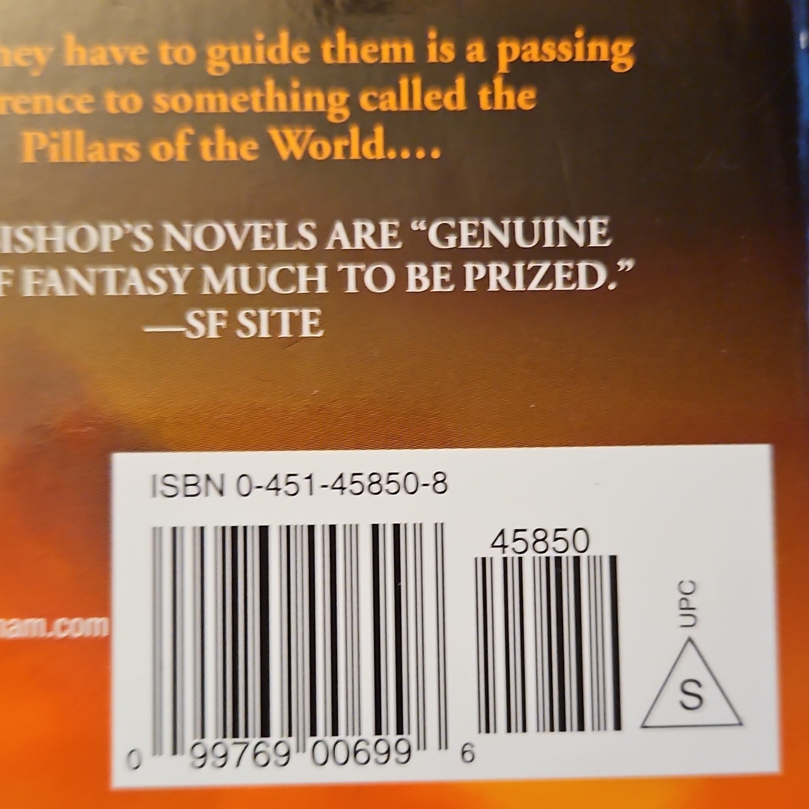 Anne Bishop The Pillars of the World Paperback Fantasy Fiction Novel English
