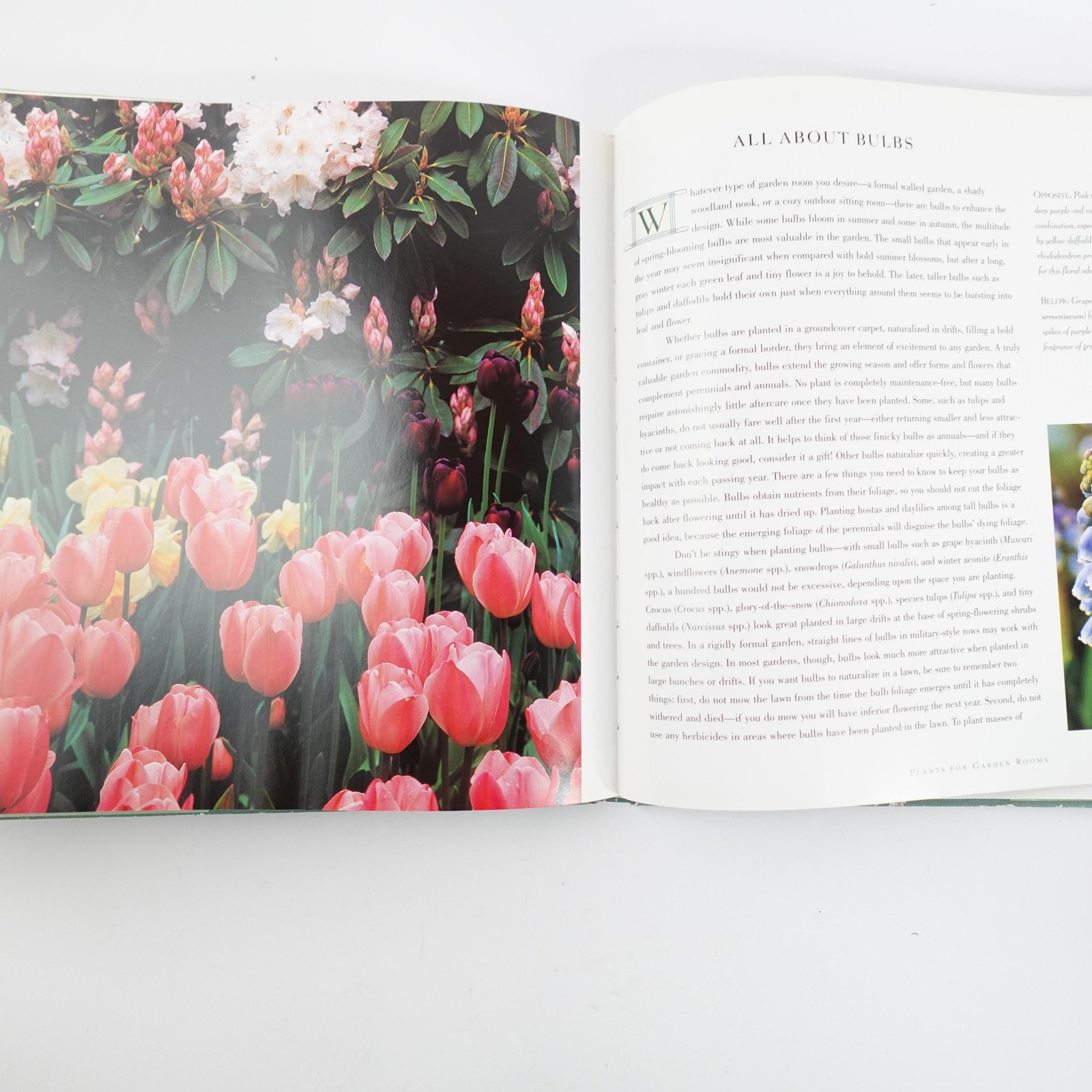 Lot of 4 Garden Design Books Small Gardens Decorating with Plants Feng Shui