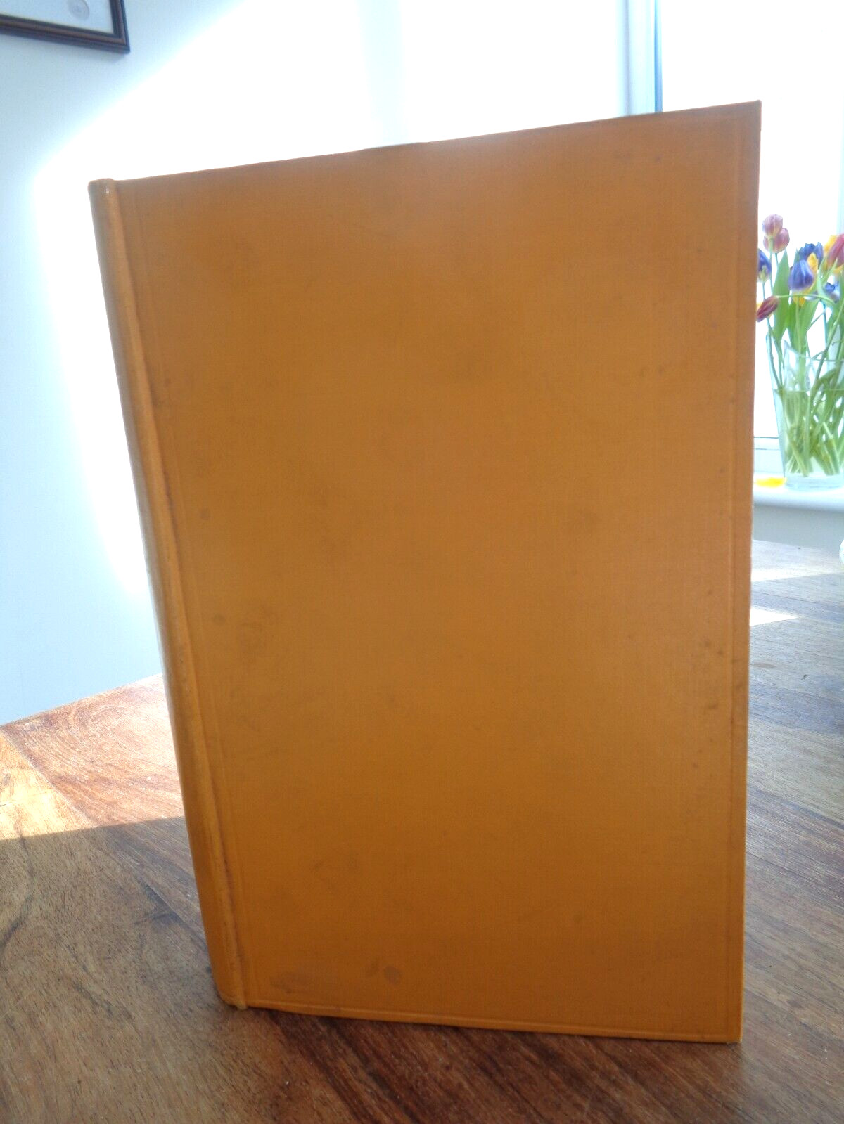 1927 CHINA IN TURMOIL STUDIES IN PERSONALITY by KING 12 PLTS CHINESE PEKING ^
