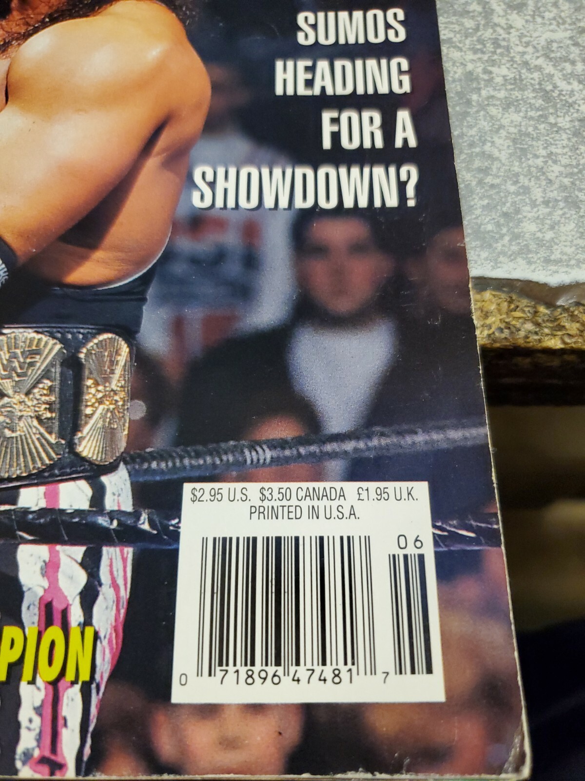WWF World Wrestling Federation Magazine June 1994 Vol 13 Number 6 Does Not Apply