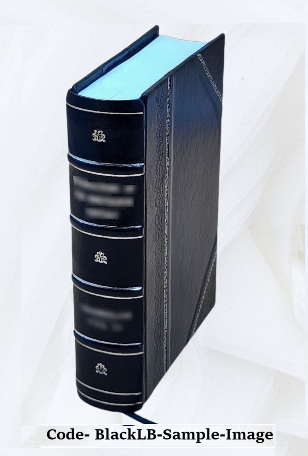 An Introduction To Physic And Surgery: Containing I. Medicinal I [Leather Bound]
