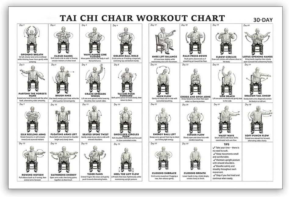 Tai Chi Chair Exercise Poster Seated Workout for Seniors & Beginners