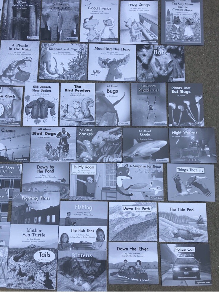 FOUNTAS & PINNELL Blue LLI System Books 1-120 Set Levels C-N Take-Home Readers