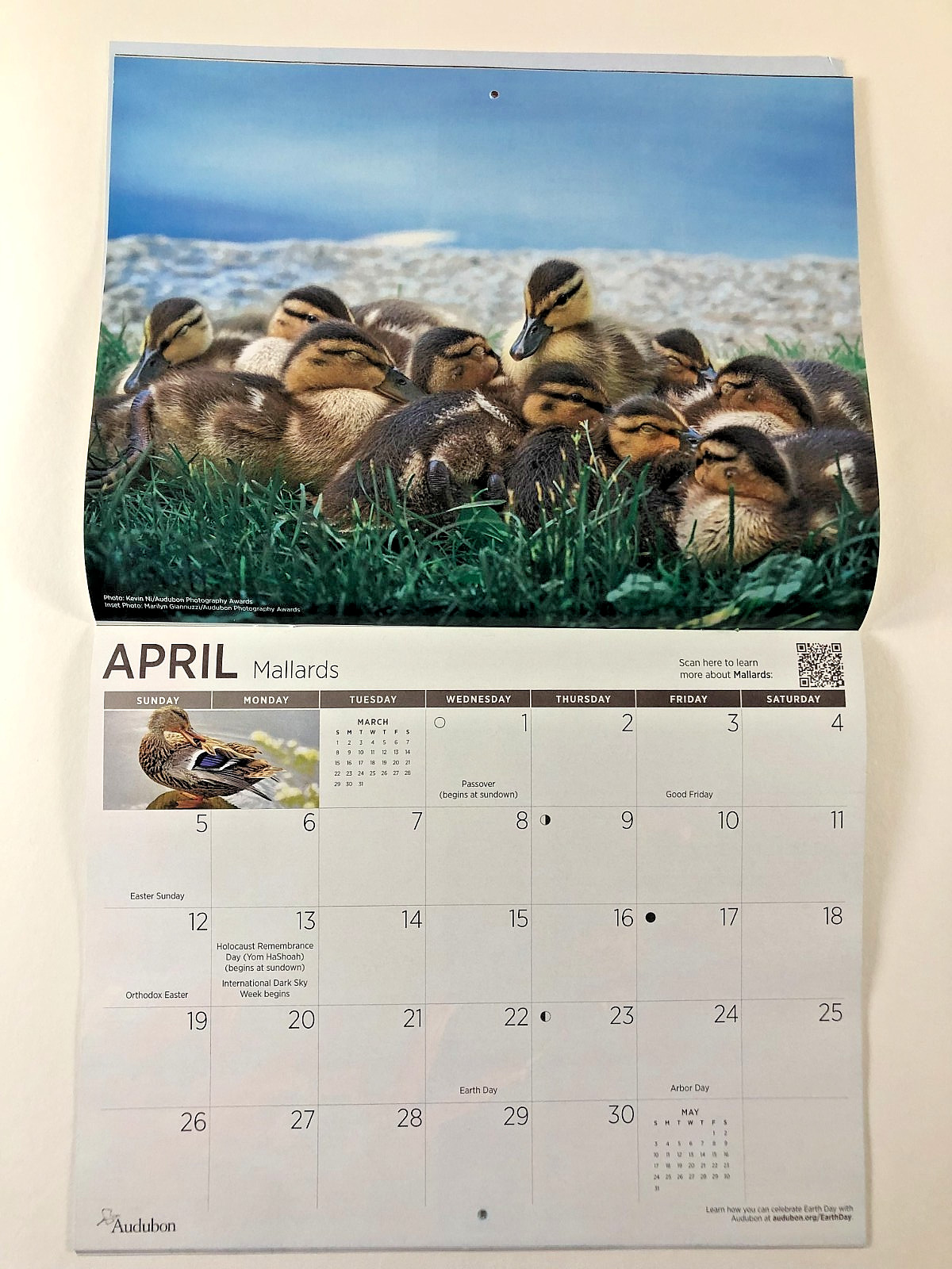 Audubon Magazine Spring 2025 Brown Pelicans Coral Reefs Cranes + 2026 Calendar
