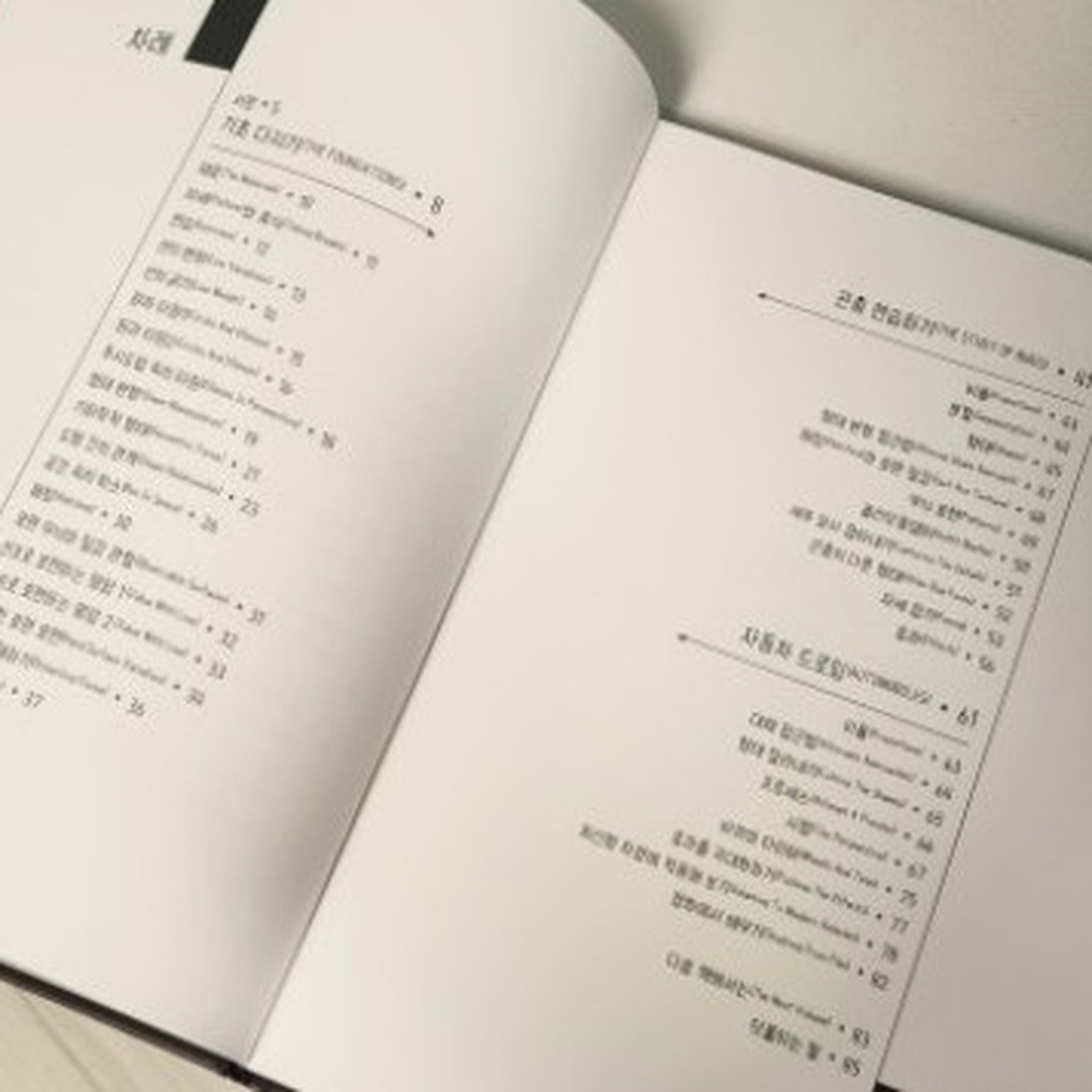 (NEW) The Dynamic Bible Peter Han Drawing Book Korean Edition Authentic