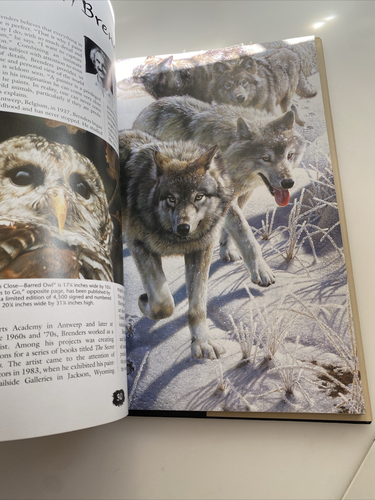 Wildlife Art: 60 Contemporary Masters & Their Work Pursley 2001 HC/DJ 1ST lfb3